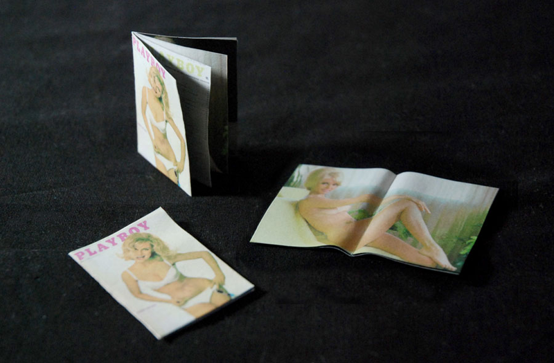 Illustration for article titled Little Snake Has A Little Copy Of Metal Gear Solid 3